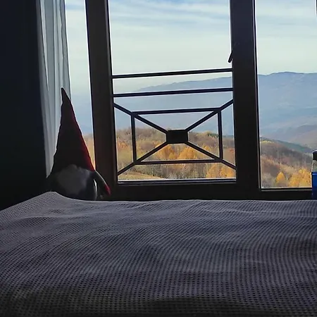 Mountain View Milmari *