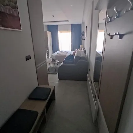 Mountain View Milmari Apartment Kopaonik