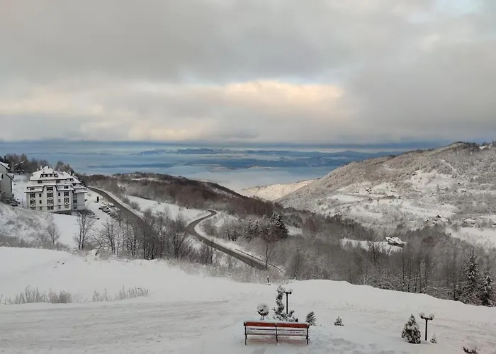 Apartament Mountain View Milmari